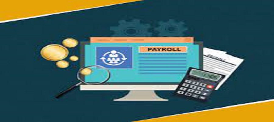 12 Benefits of Using Online Payroll Software in Pakistan For Your Small Business